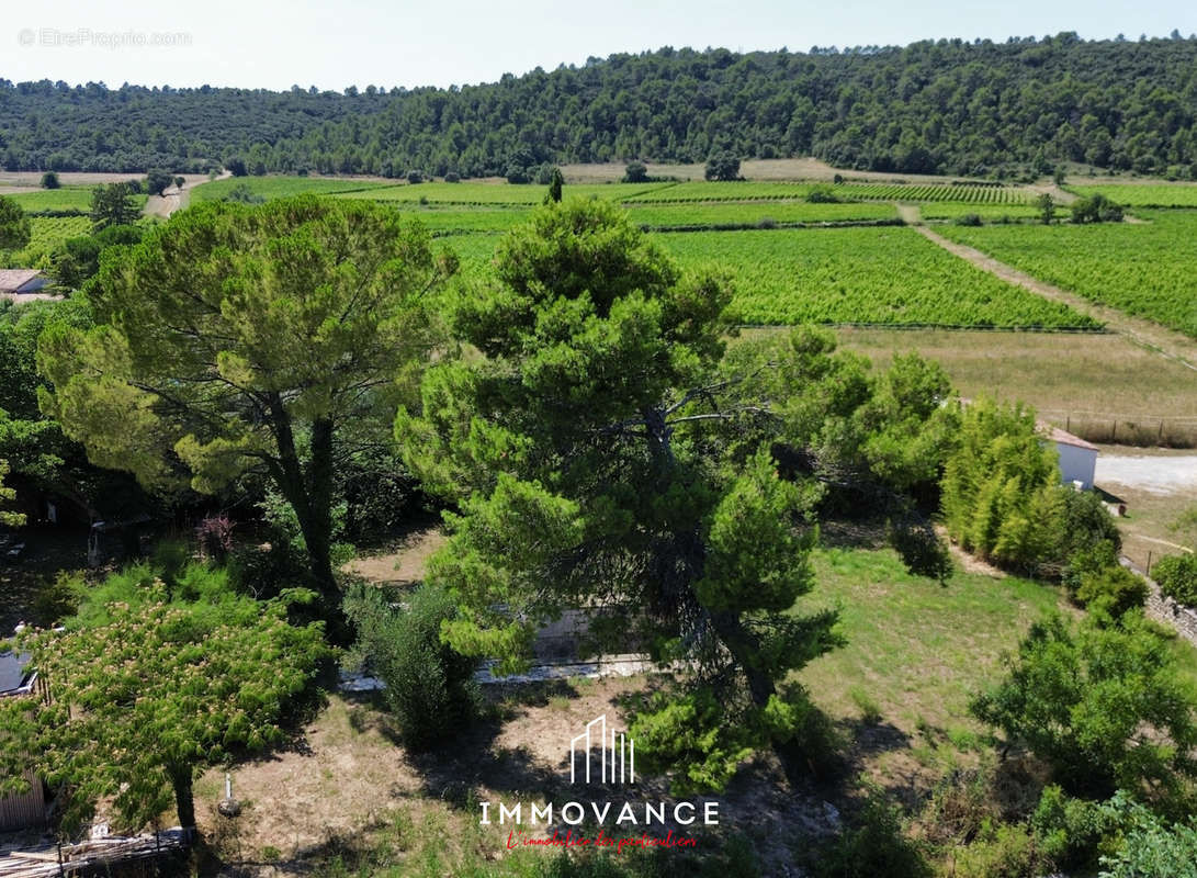 Terrain à SAINT-MATHIEU-DE-TREVIERS