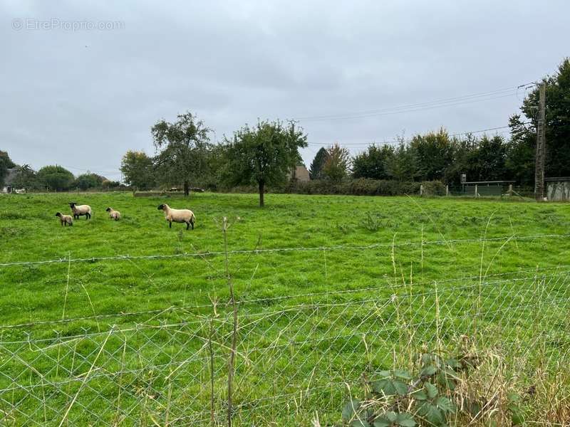 Terrain à BOSC-LE-HARD