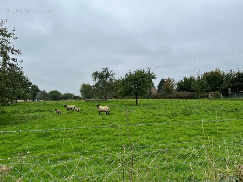 Terrain à BOSC-LE-HARD