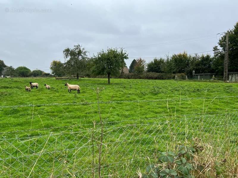 Terrain à BOSC-LE-HARD