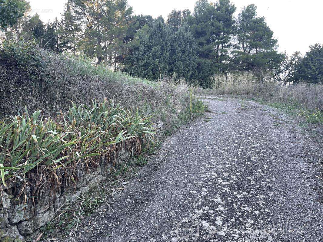 Terrain à MONTBAZIN