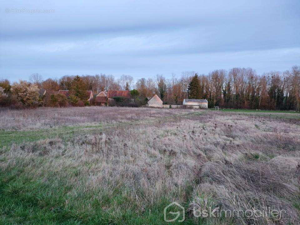 Terrain à SAINT-MAURICE-AUX-RICHES-HOMMES