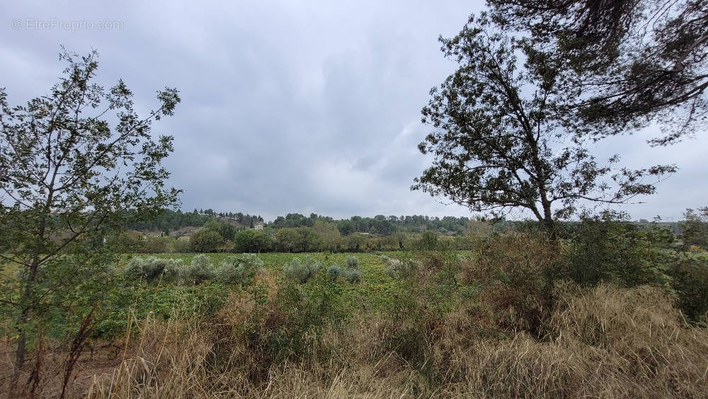 Terrain à RIEUX-MINERVOIS