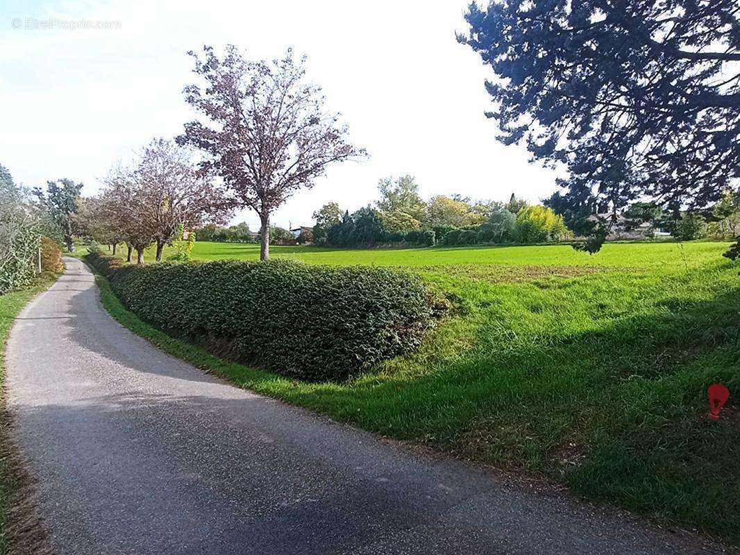 Terrain à ALBI