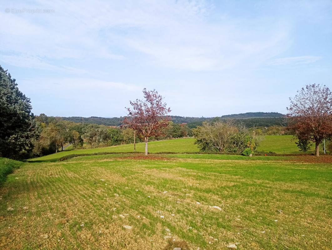 Terrain à ALBI