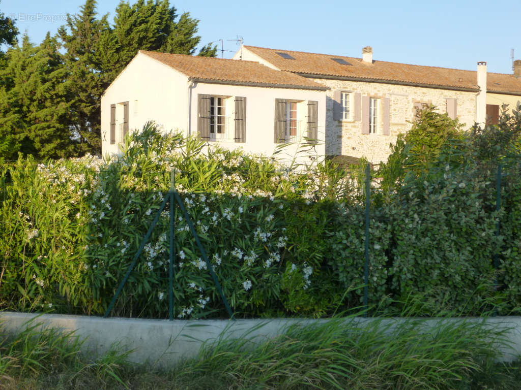 Maison à AVIGNON