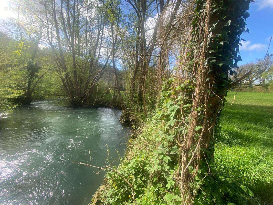 Terrain à NANTEUIL-EN-VALLEE