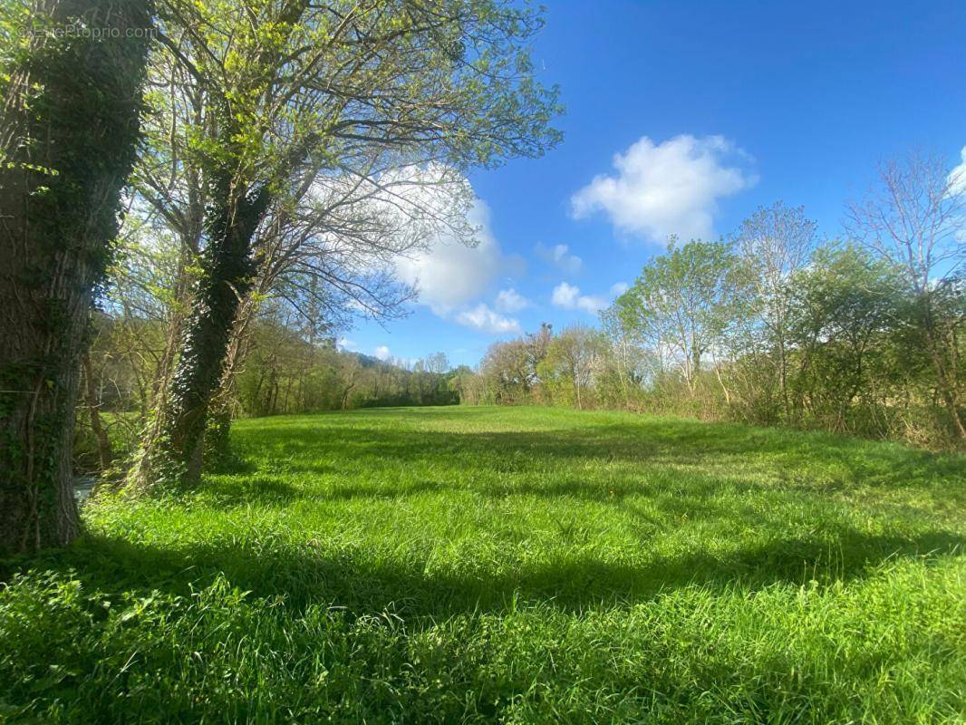 Terrain à NANTEUIL-EN-VALLEE