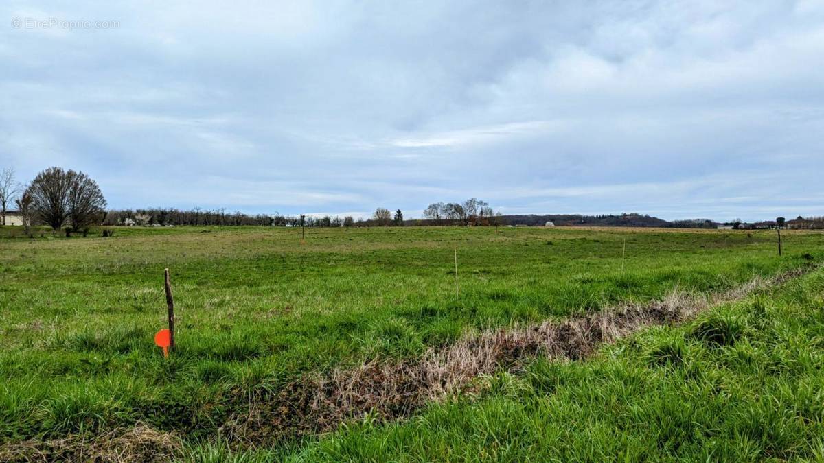 Terrain à SAINT-GEORGES