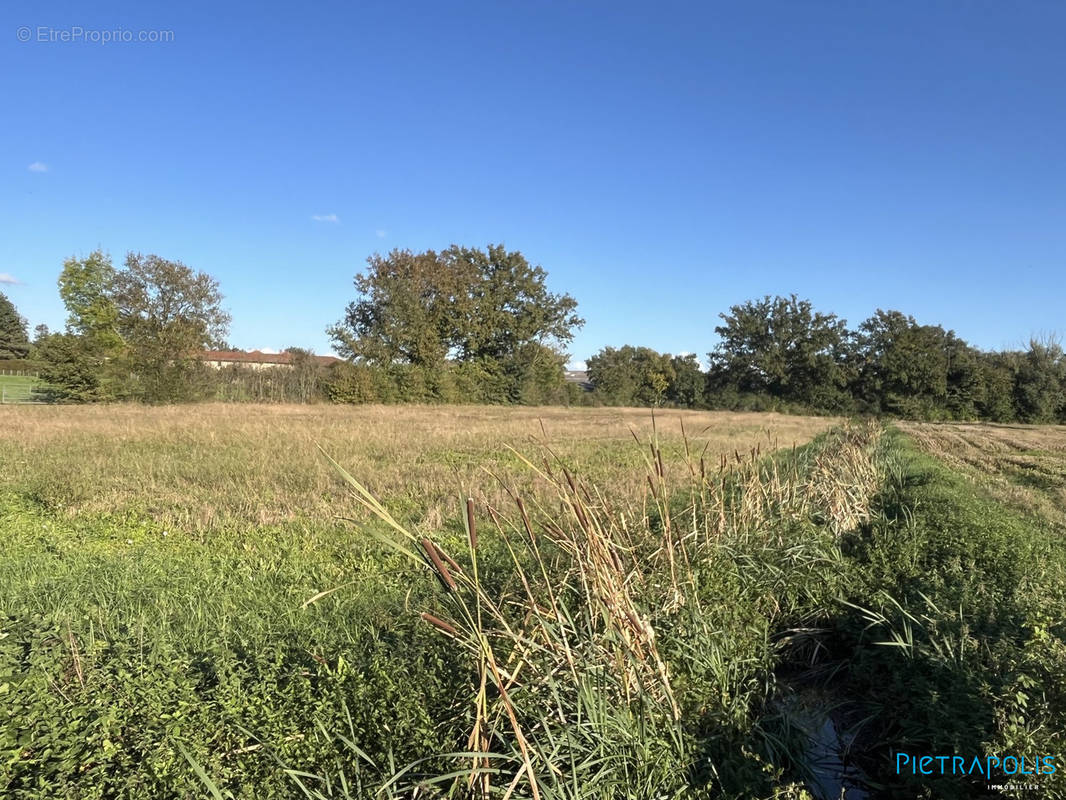 Terrain à SAINT-ANDRE-LE-BOUCHOUX