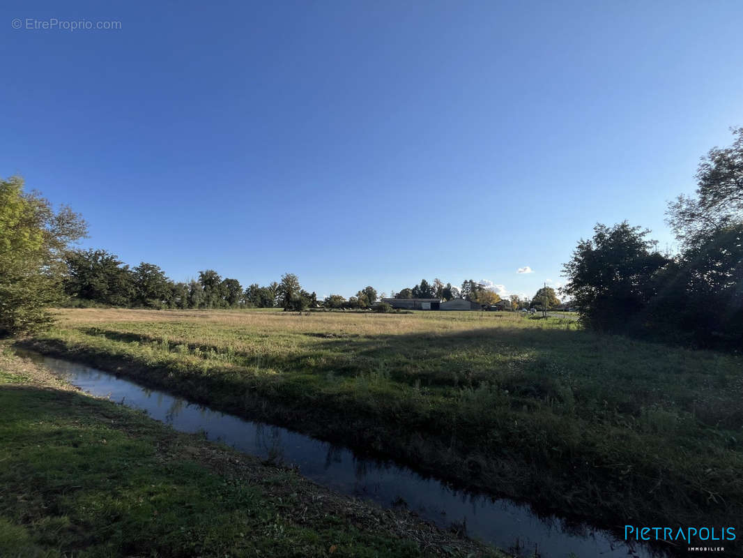 Terrain à SAINT-ANDRE-LE-BOUCHOUX