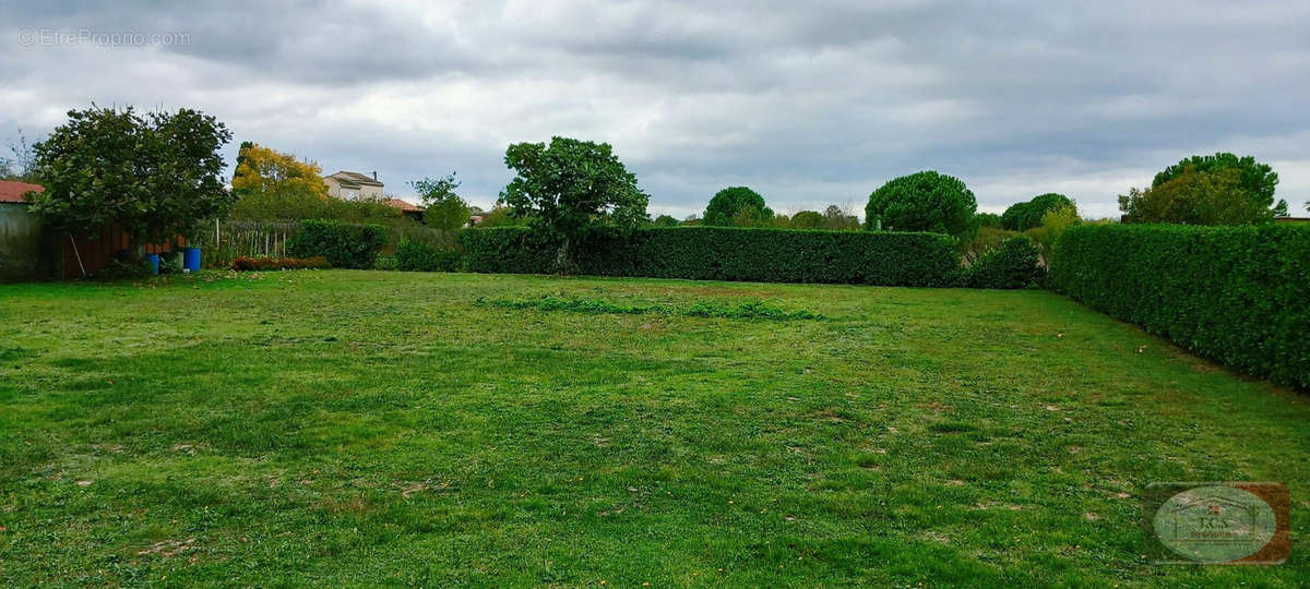 Terrain à FROUZINS