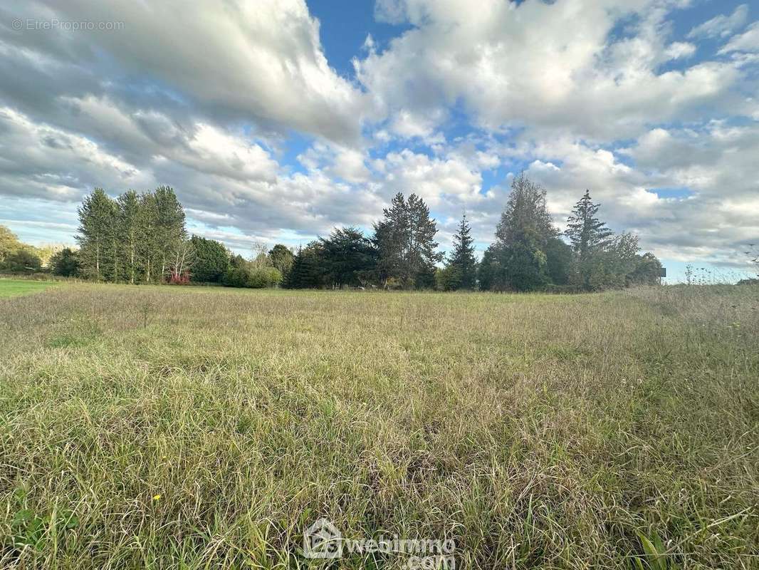 Situé dans un village calme et agréable au sud de Laon - Terrain à MONS-EN-LAONNOIS