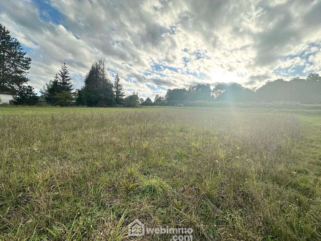 Tous les réseaux sont à proximité ! - Terrain à MONS-EN-LAONNOIS