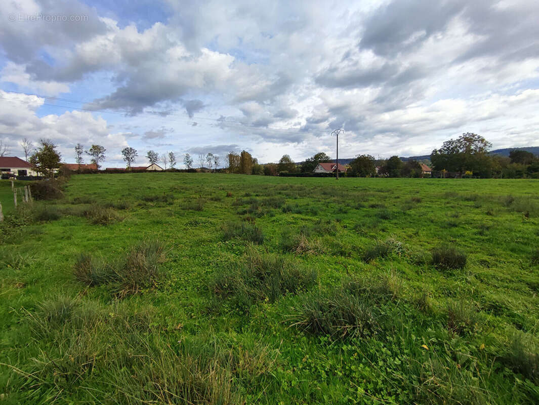 Terrain à TOURMONT