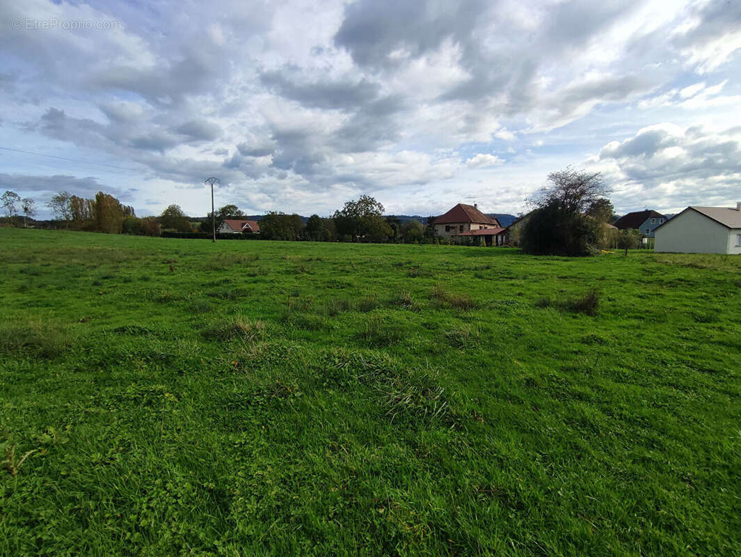 Terrain à TOURMONT