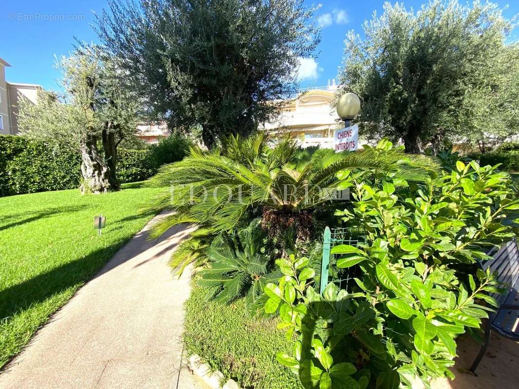 Appartement à ROQUEBRUNE-CAP-MARTIN