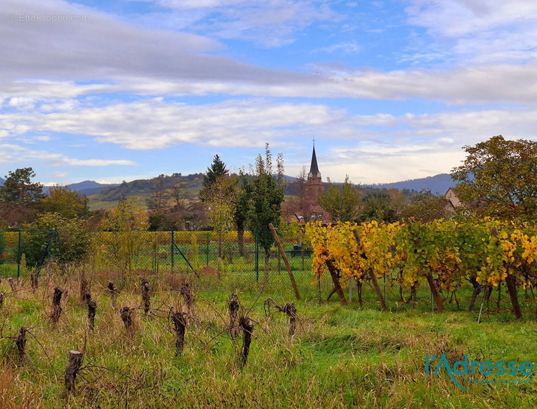 Terrain à BERGHEIM