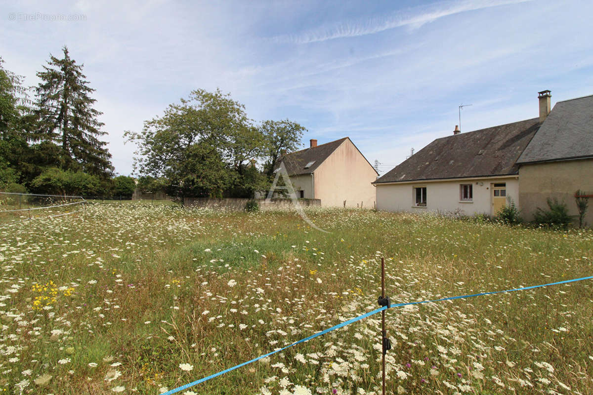 Maison à CHOUZY-SUR-CISSE