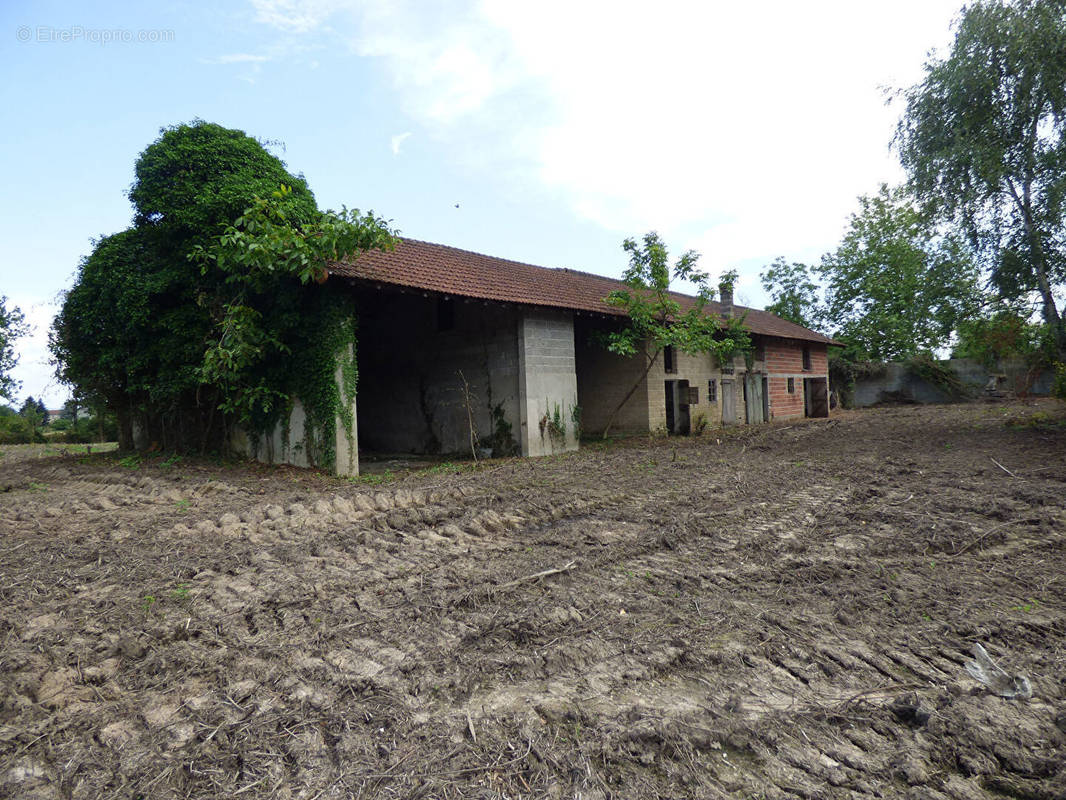 Maison à CURCIAT-DONGALON