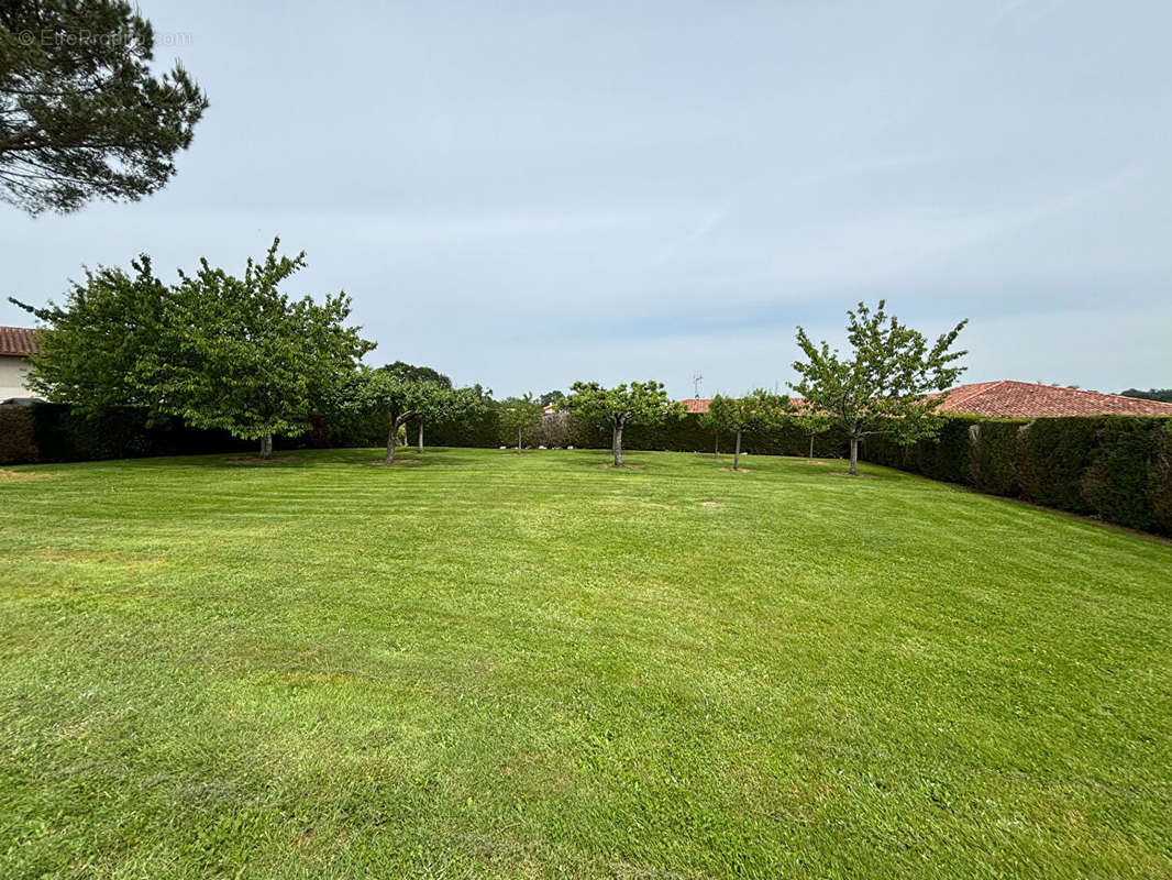 Maison à POUILLON