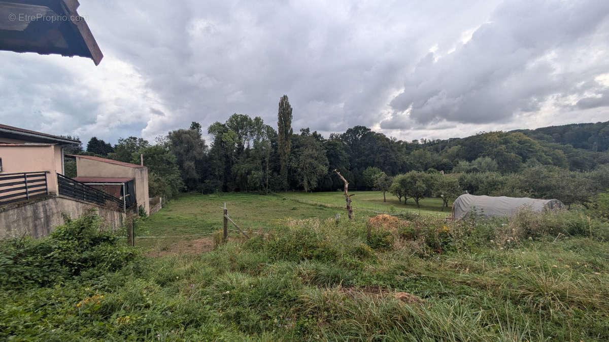 Terrain à BERVILLER-EN-MOSELLE