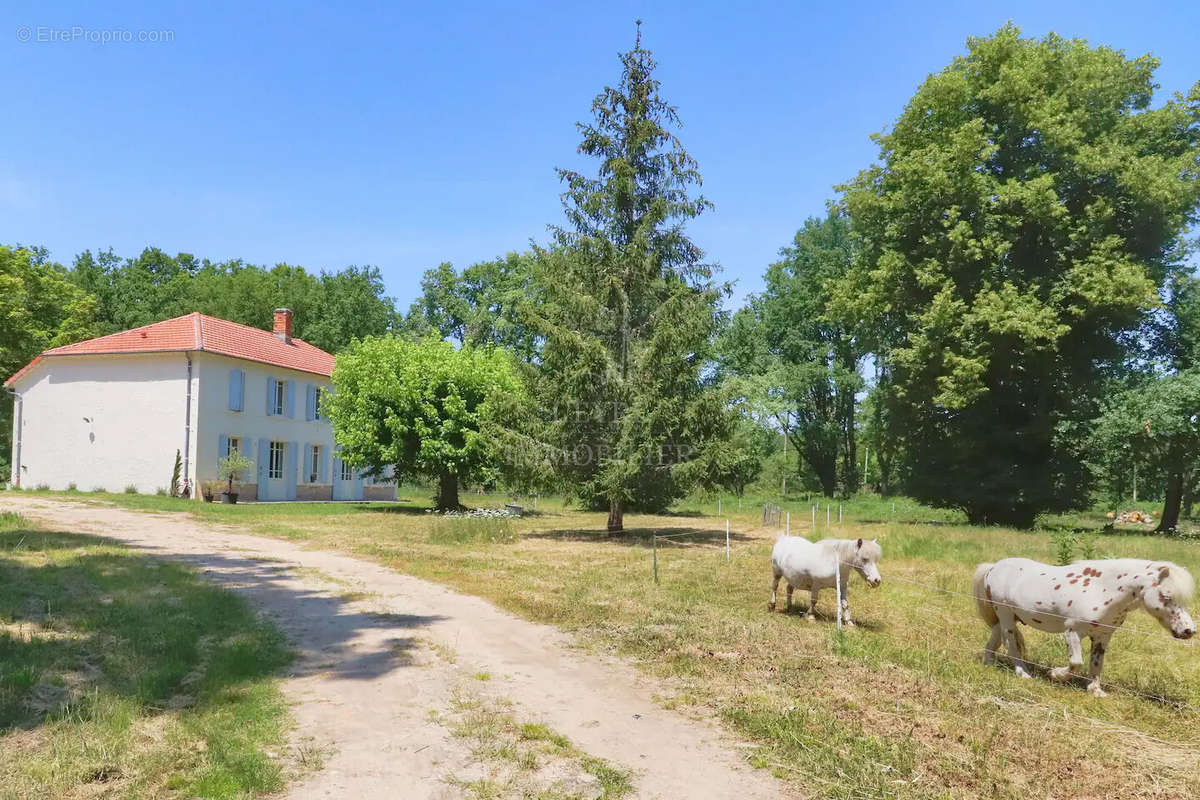 Maison à MOUSTEY