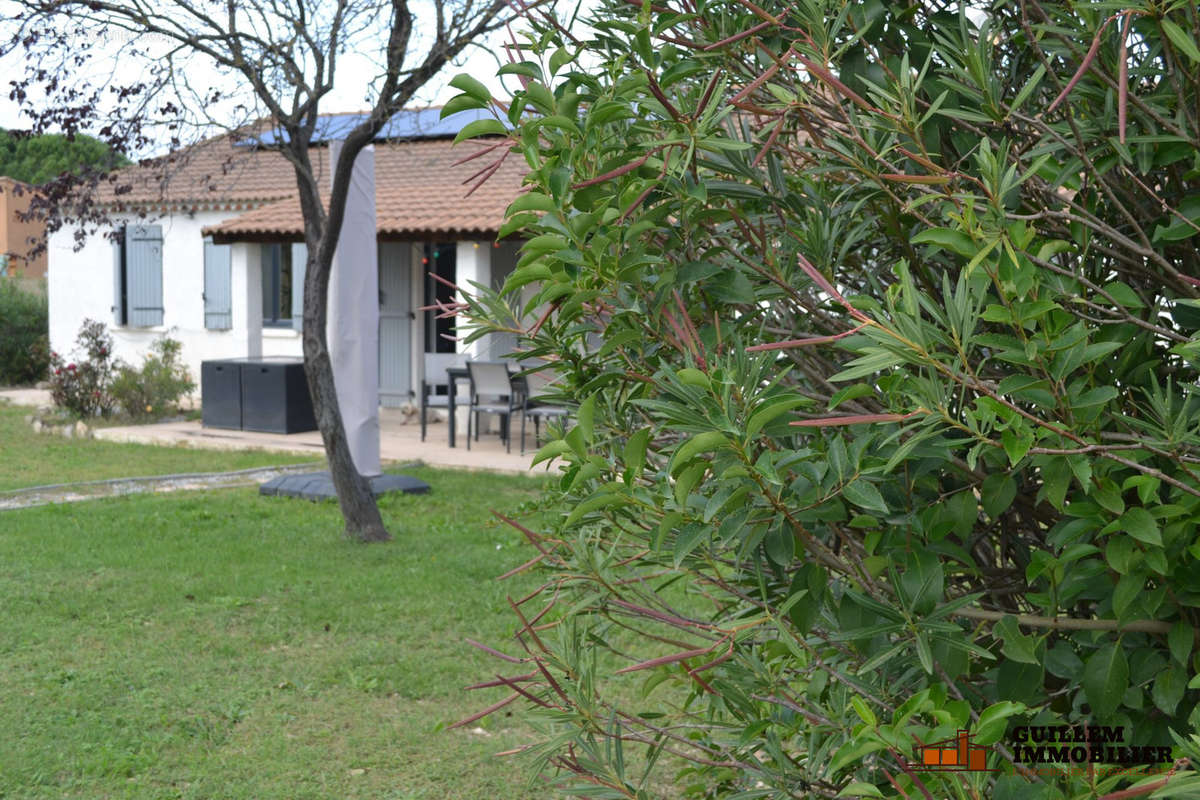 Face Sud - Maison à MAS-BLANC-DES-ALPILLES