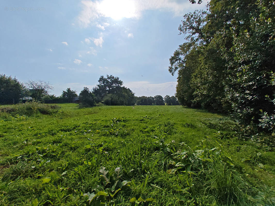 Terrain à SAINT-AVE