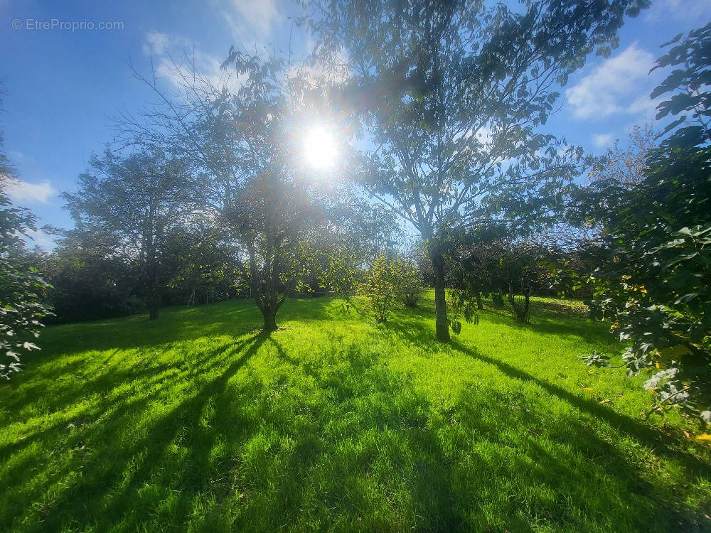 Terrain à CHATILLON-SUR-CHALARONNE