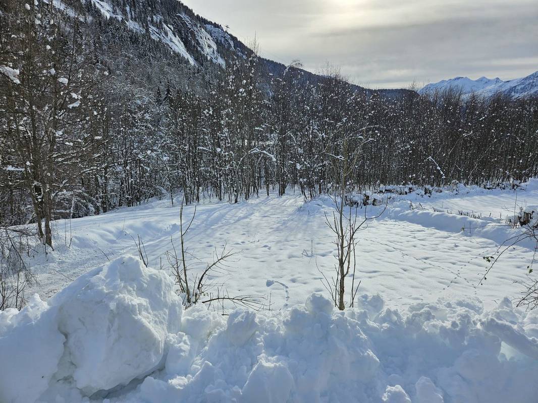 Terrain à VAUJANY