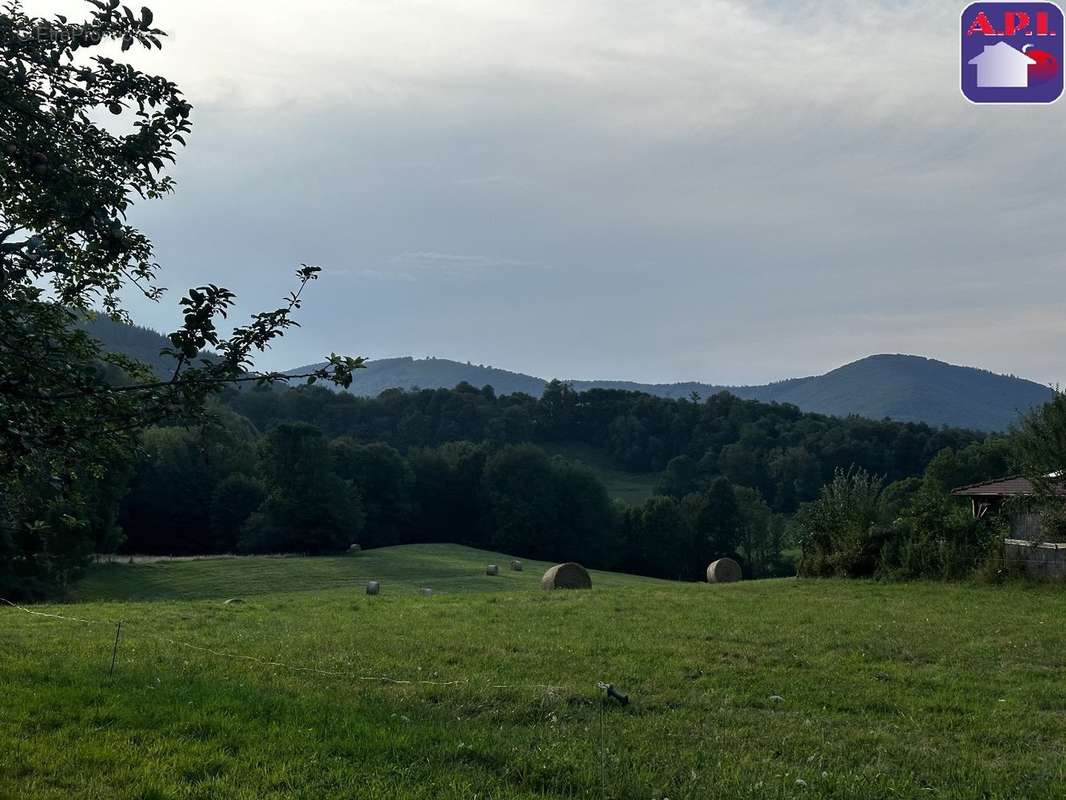 Terrain à FOIX