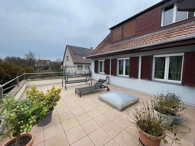 Terrasse Ouest - Maison à HOENHEIM