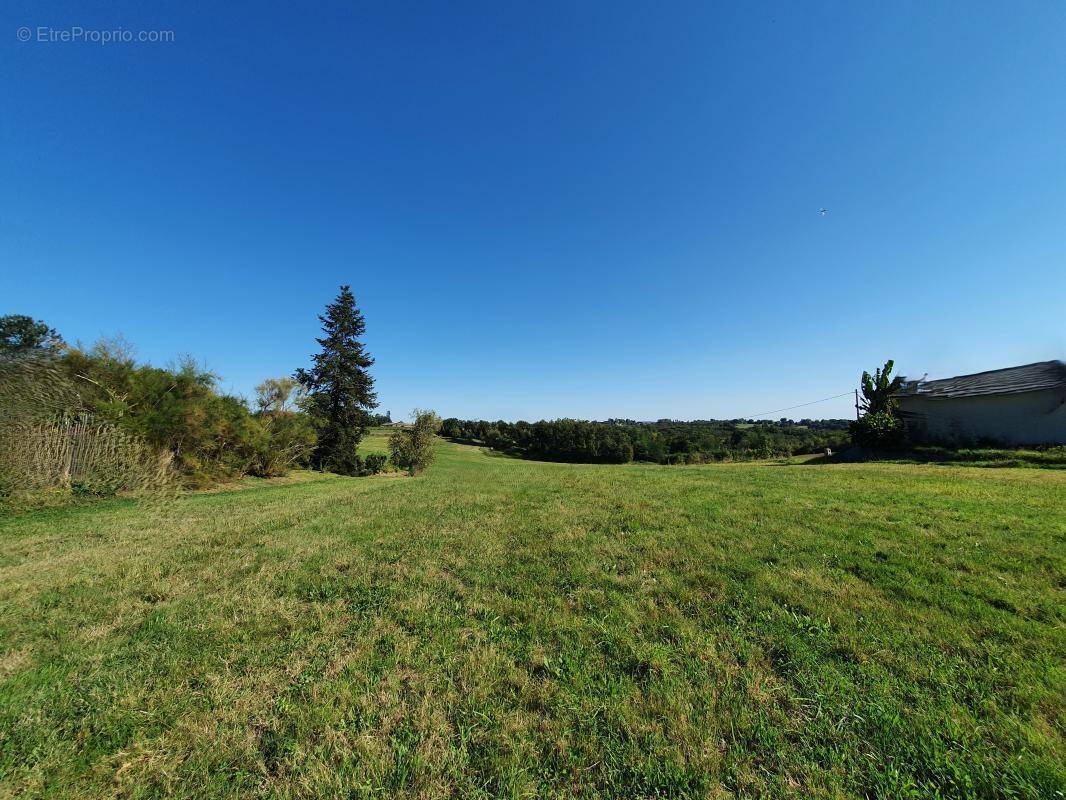 Terrain à CAMBES