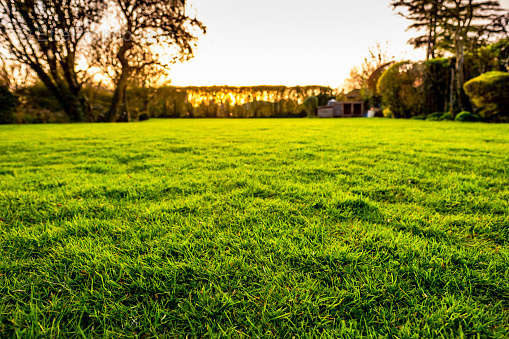 Terrain à CHAMANT