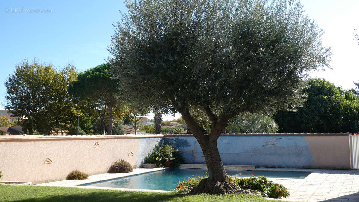 Maison à SAINT-CYPRIEN