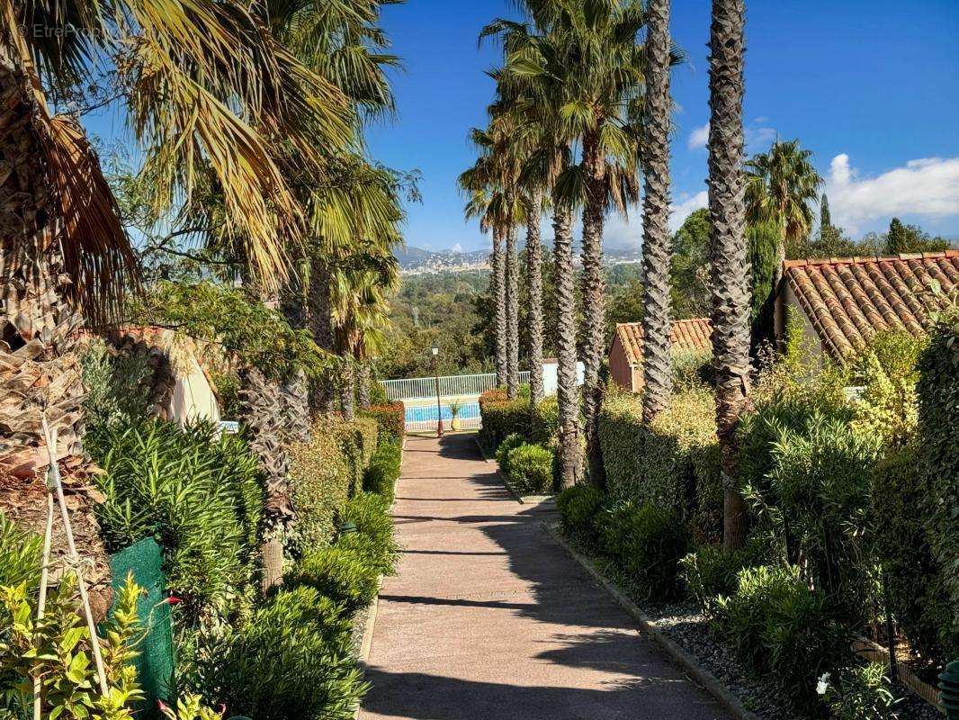 Maison à ROQUEBRUNE-SUR-ARGENS