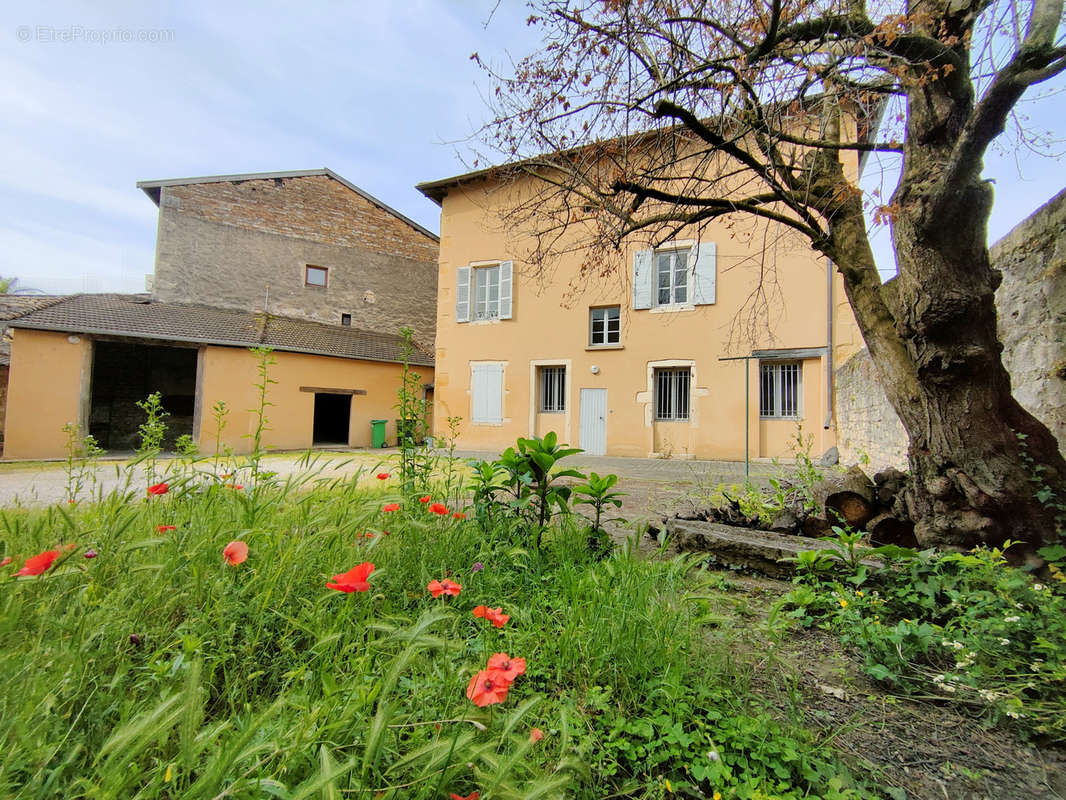 Maison à AMBERIEUX