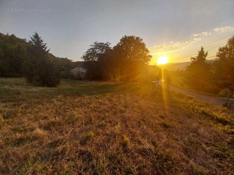 Terrain à LIAUSSON