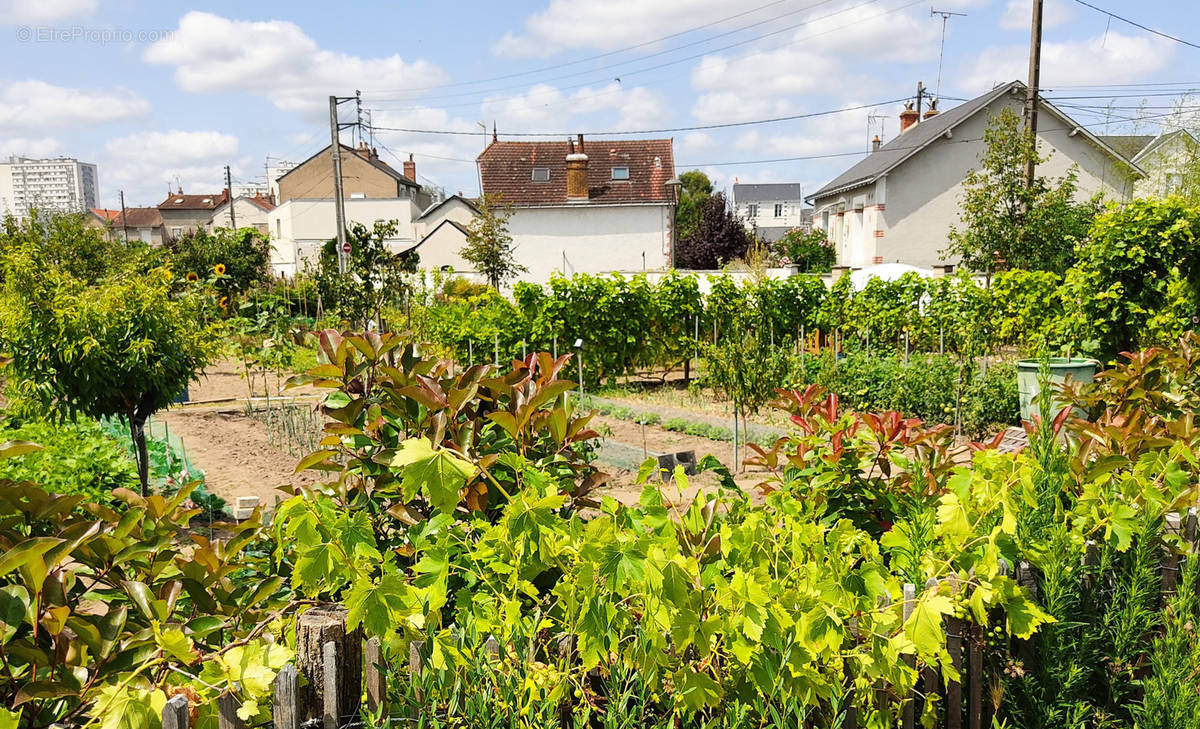 Maison à TOURS