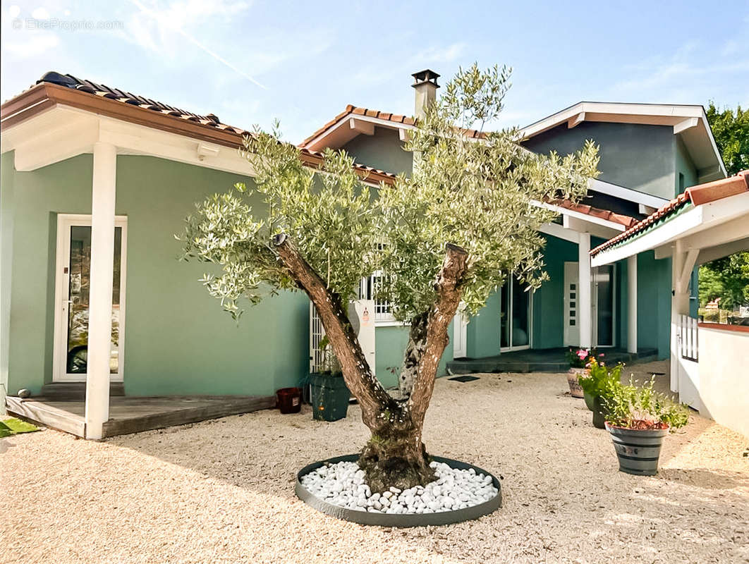 Maison à VIEUX-BOUCAU-LES-BAINS