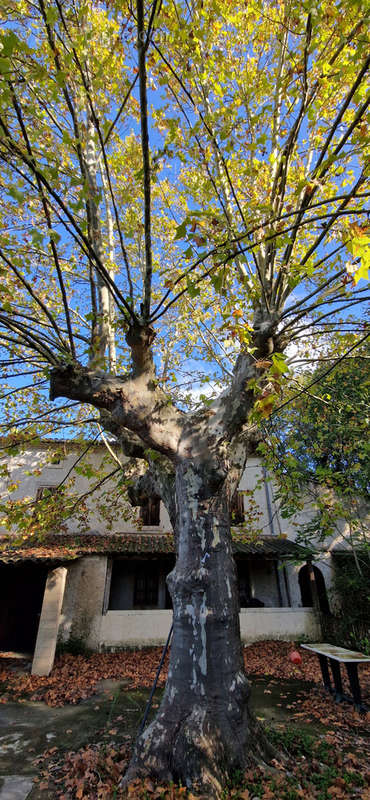 Maison à BOLLENE