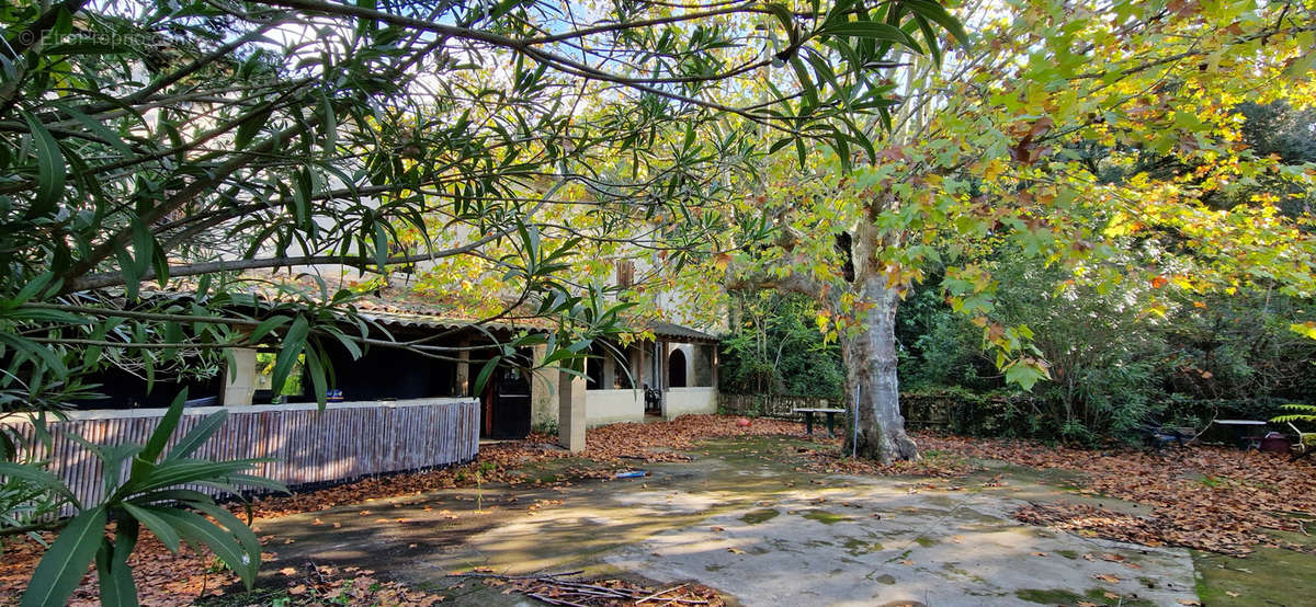 Maison à BOLLENE