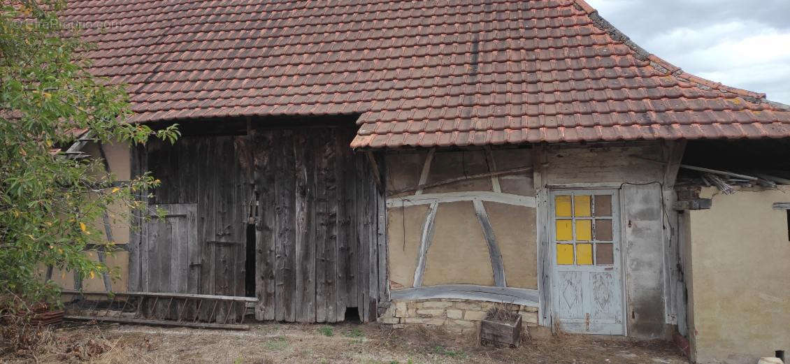 Terrain à SAINT-DIDIER-EN-BRESSE