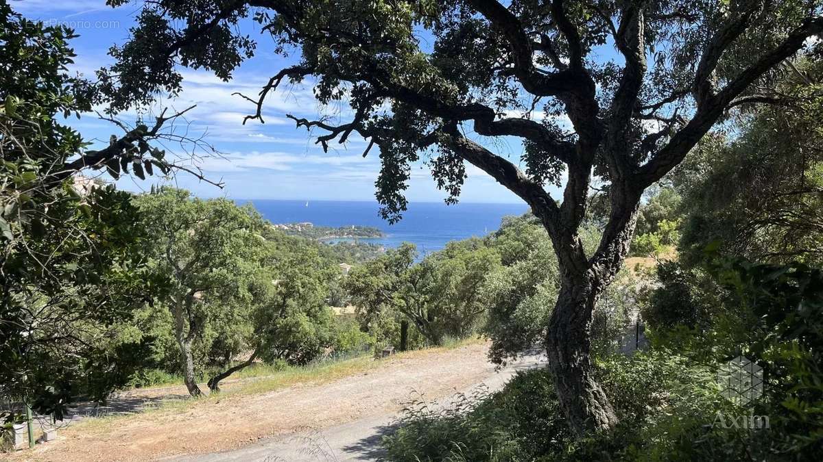 Terrain à SAINT-RAPHAEL