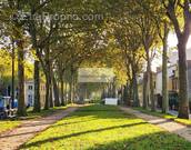 Maison à VERSAILLES