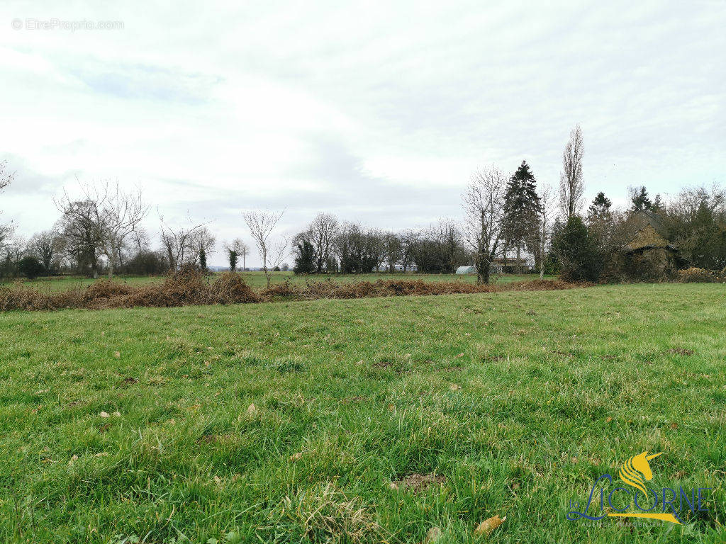 Terrain à BAIS