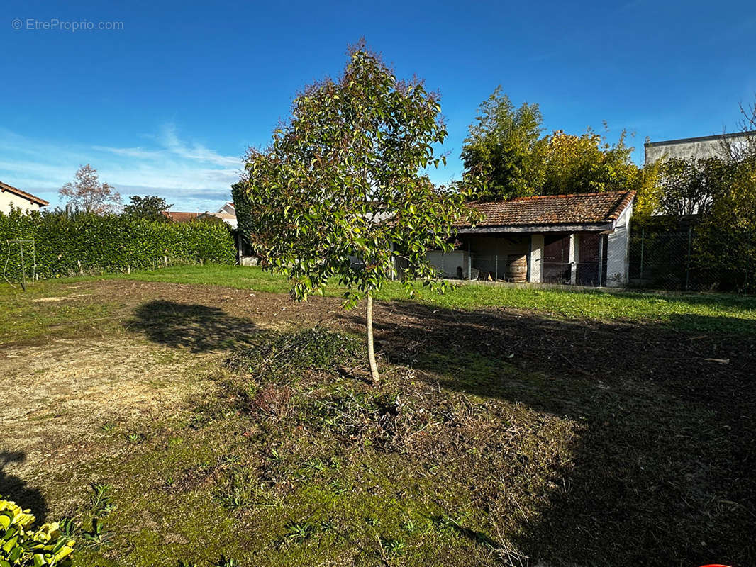 Terrain à MONTAUBAN