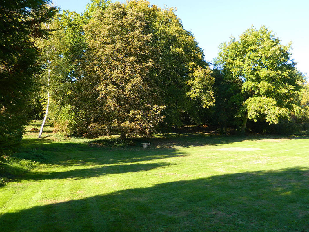 Terrain à NOGENT-LE-ROI