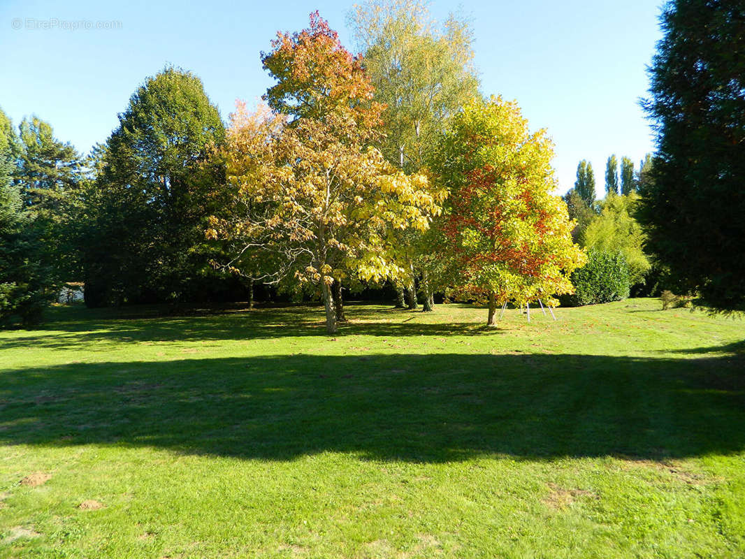 Terrain à NOGENT-LE-ROI